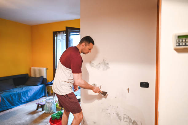 Best Residential Mold Remediation in Buckhead Ridge, FL